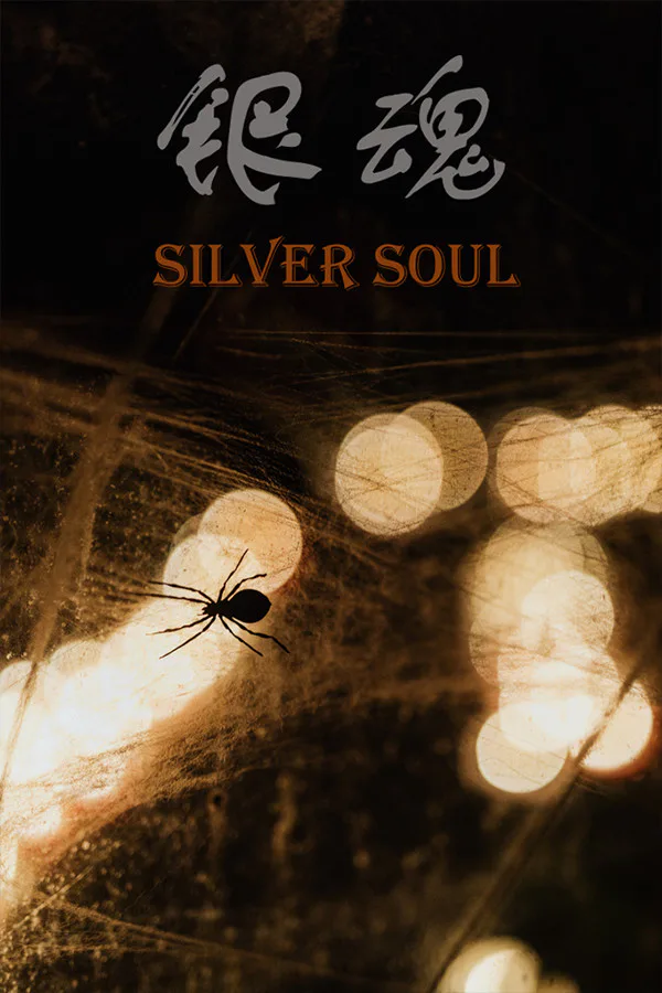 Copertina di 银魂:Silver Soul