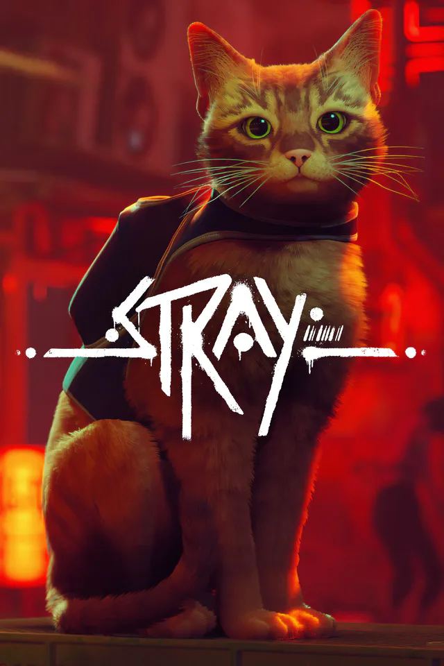 Copertina di Stray