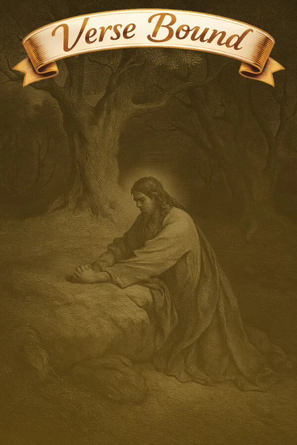 Copertina di Versebound