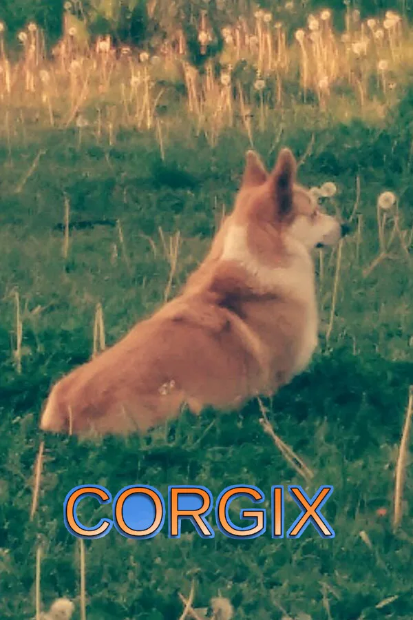 Copertina di CORGIX