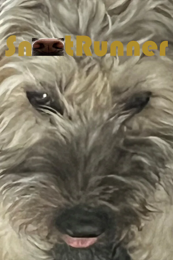 Copertina di Snoot Runner