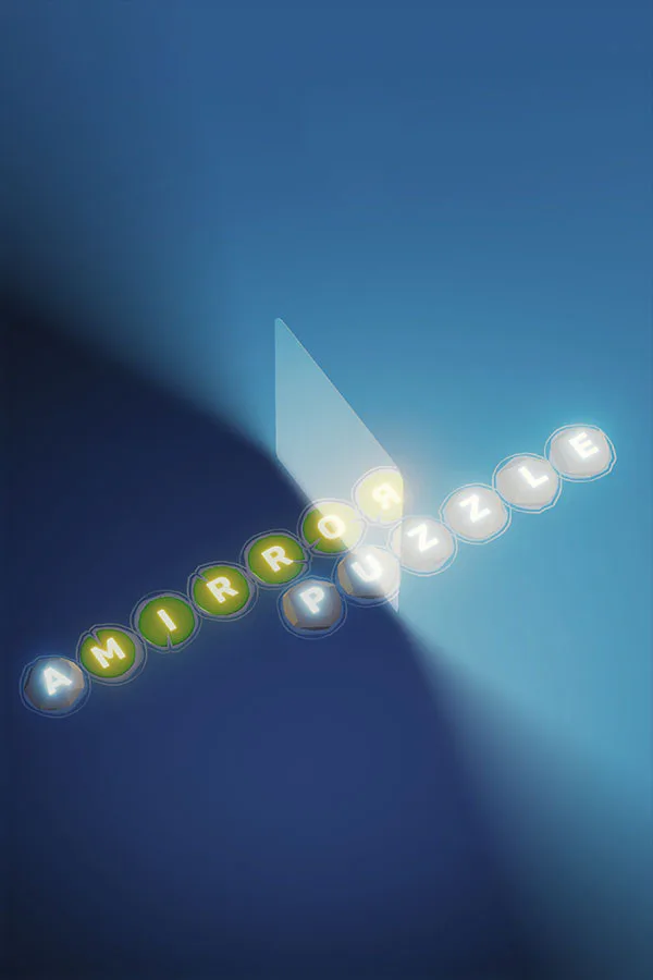 Copertina di A MIRROR PUZZLE