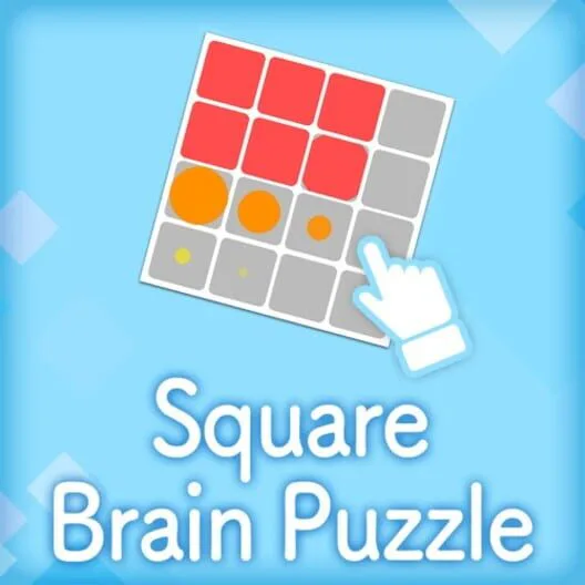 Copertina di Square Brain Puzzle