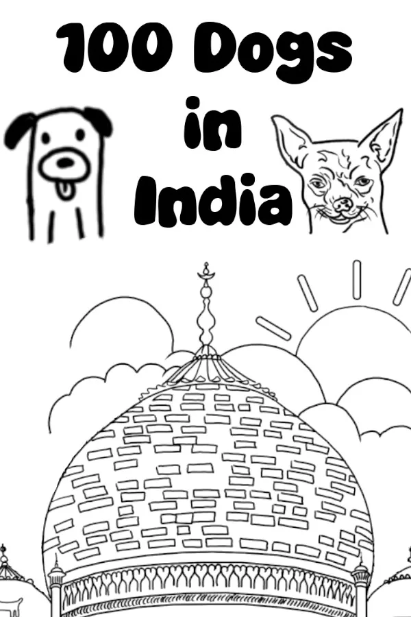 Copertina di 100 Dogs in India