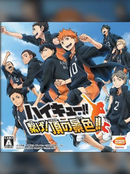 Copertina di Haikyu!! Tsunage! Itadaki no Keshiki!!
