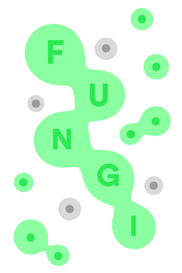 Copertina di FUNGI