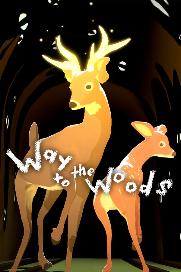 Copertina di Way To The Woods