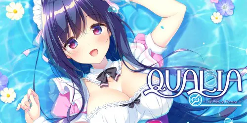 Copertina di QUALIA ~The Path of Promise~