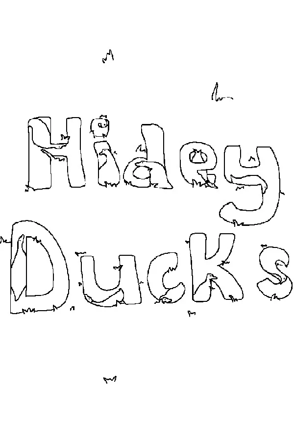 Copertina di Hidey Ducks: Seasons