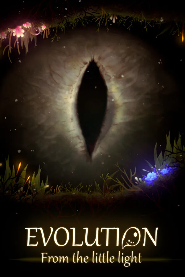 Copertina di Evolution From the little light