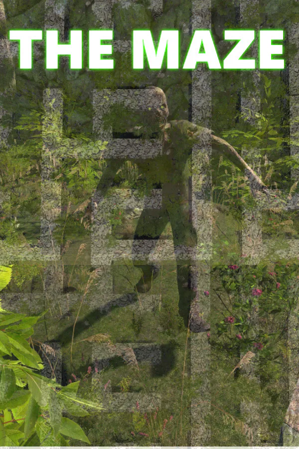 Copertina di The Maze