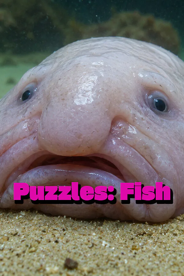 Copertina di Puzzles: Fish