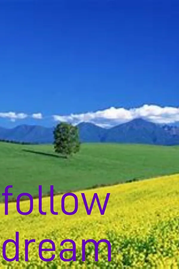 Copertina di follow dream