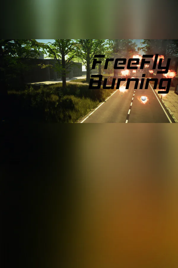 Copertina di FreeFly Burning