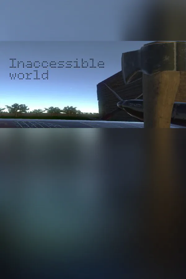 Copertina di Inaccessible world