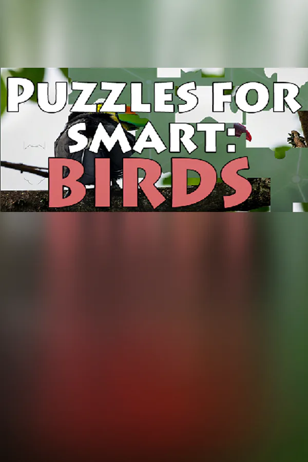 Copertina di Puzzles for smart: Birds