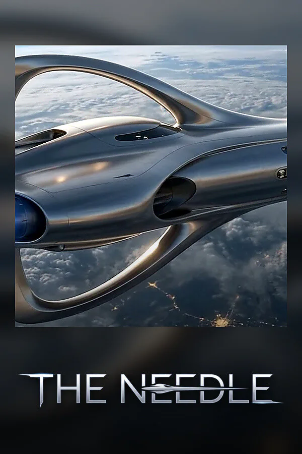Copertina di The Needle