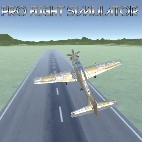 Copertina di Pro Flight Simulator