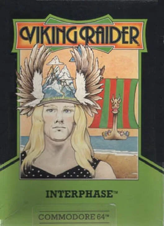 Copertina di Viking Raider
