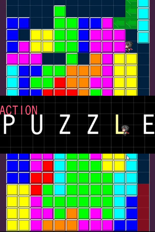 Copertina di Action PUZZLE