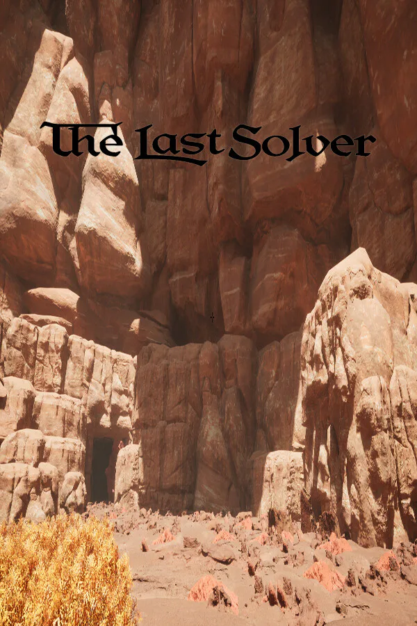 Copertina di The Last Solver