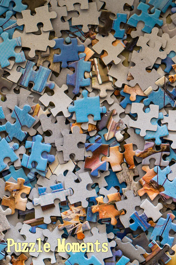 Copertina di Puzzle Moments
