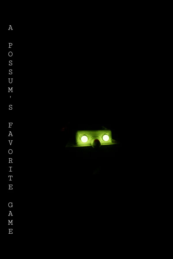 Copertina di A Possum's Favorite Game