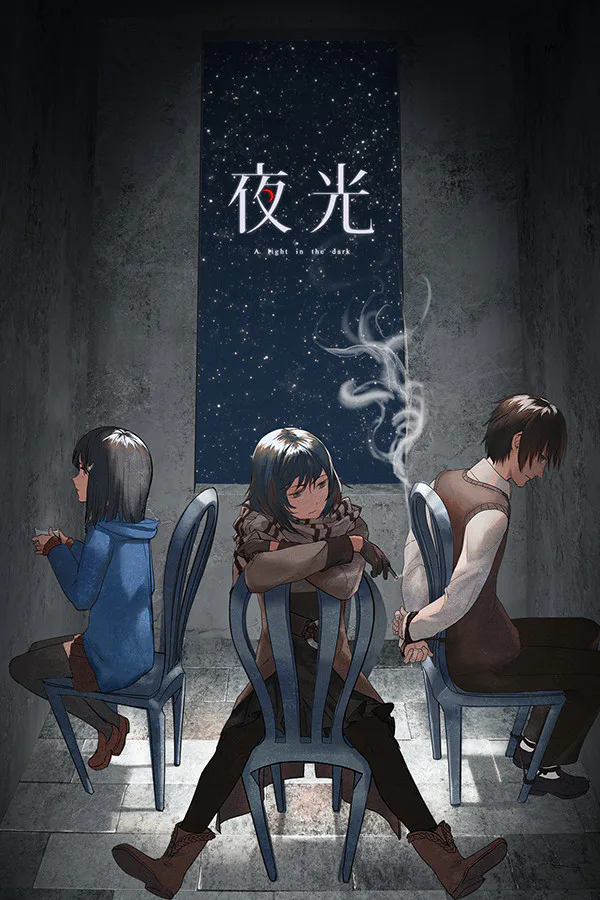 Copertina di A Light in the Dark