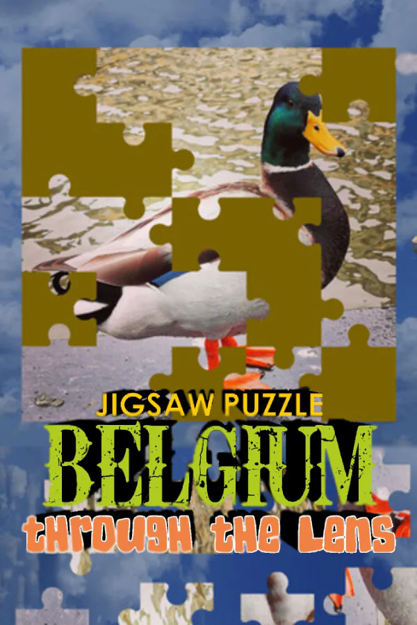 Copertina di Jigsaw Puzzle: Belgium through the Lens