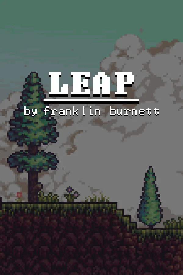 Copertina di Leap by Franklin Burnett