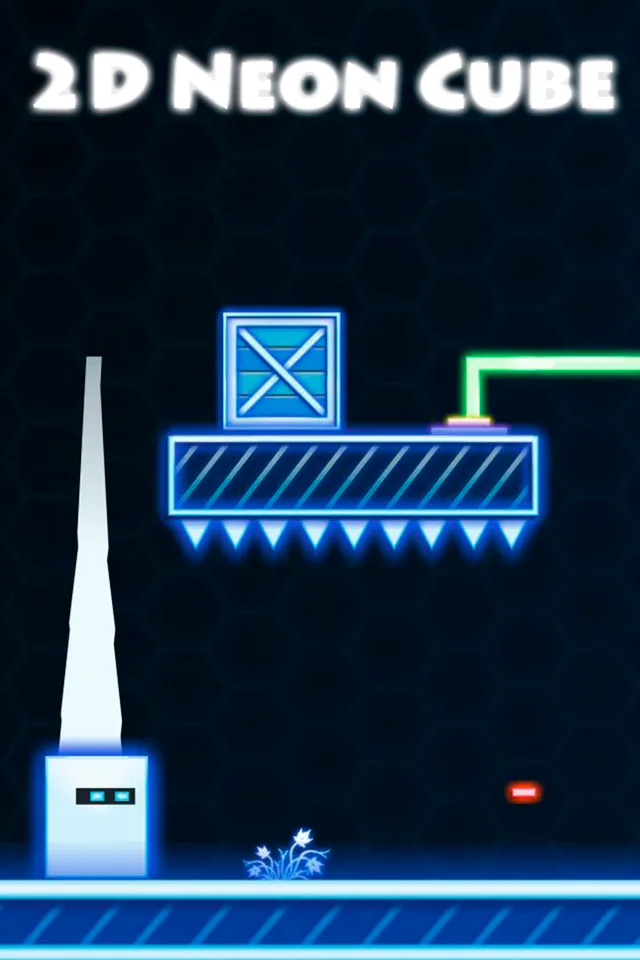 Copertina di 2D Neon Cube