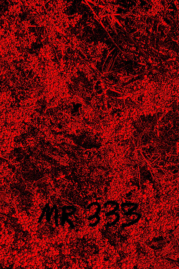 Copertina di MR 333