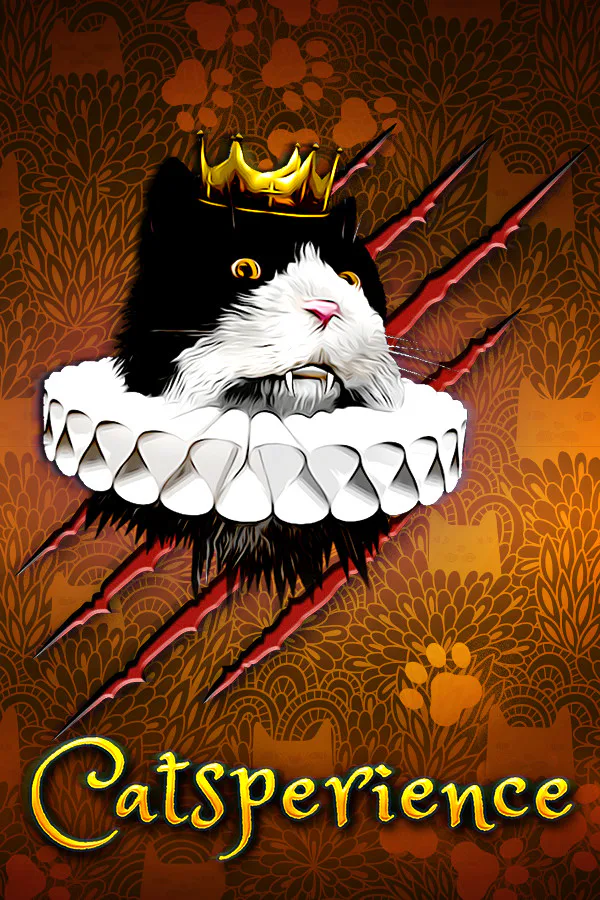 Copertina di Catsperience