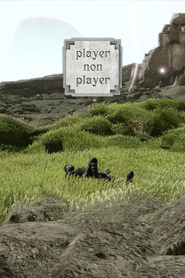 Copertina di Player Non Player