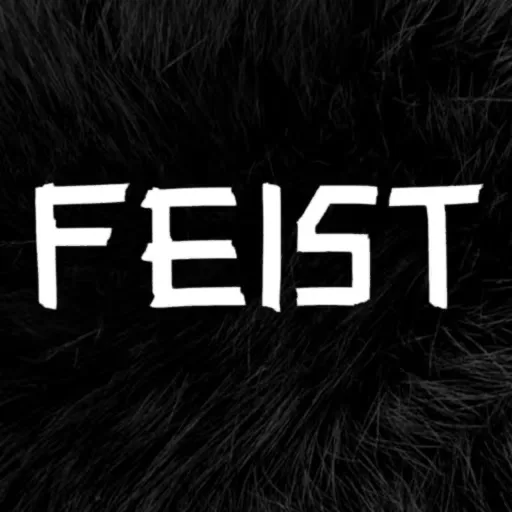 Copertina di Feist