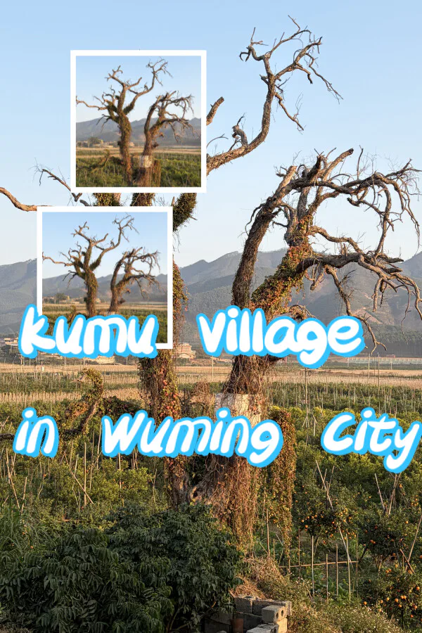 Copertina di Kumu Village in Wuming City