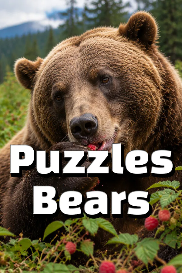 Copertina di Puzzles Bears
