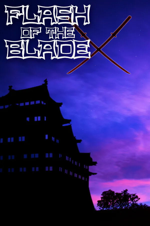 Copertina di FLASH OF THE BLADE X