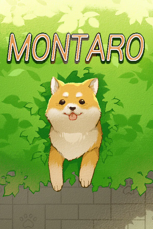 Copertina di Montaro
