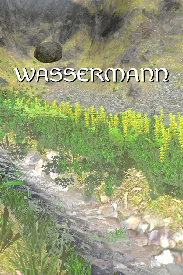Copertina di Wassermann