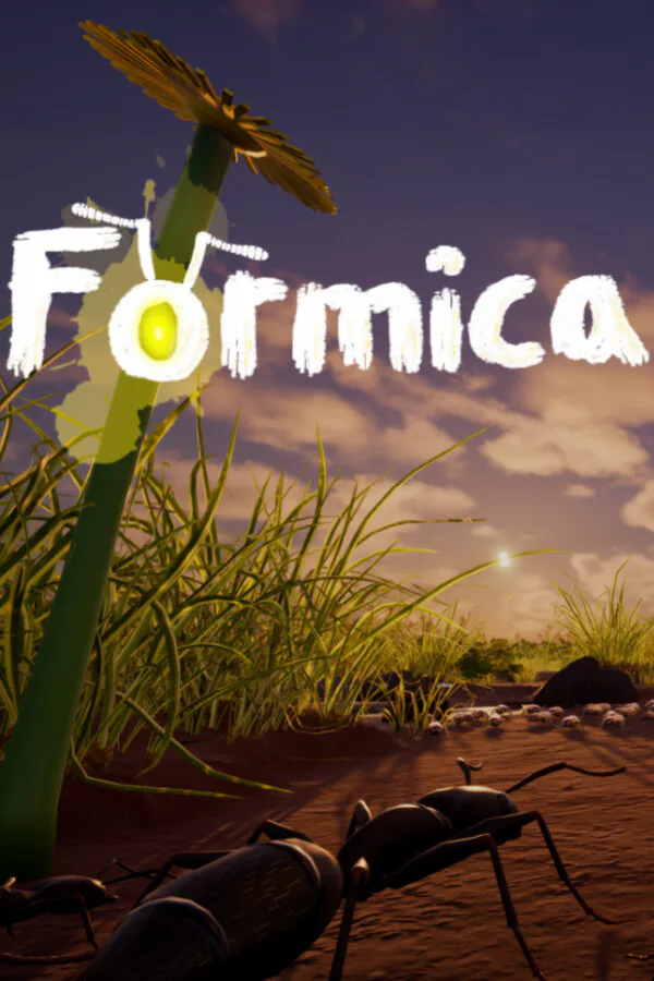 Copertina di Formica