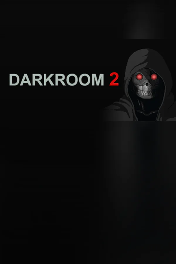 Copertina di DARKROOM 2