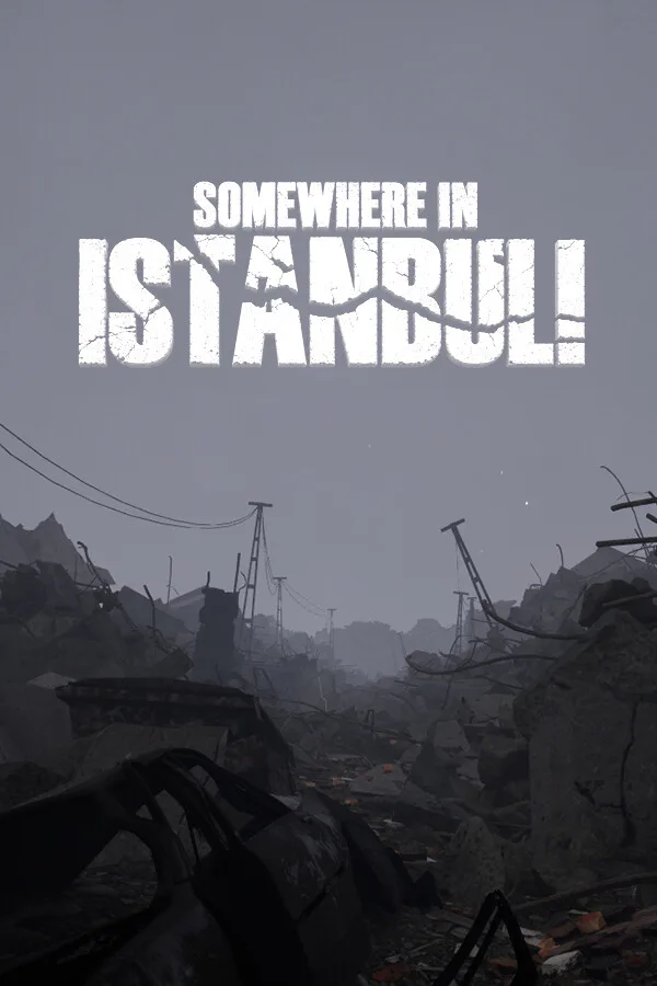 Copertina di Somewhere in İstanbul