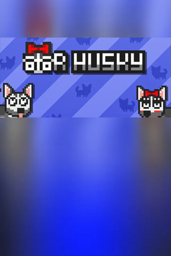 Copertina di Mr Husky