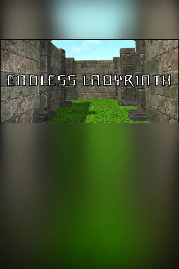 Copertina di Endless Labyrinth