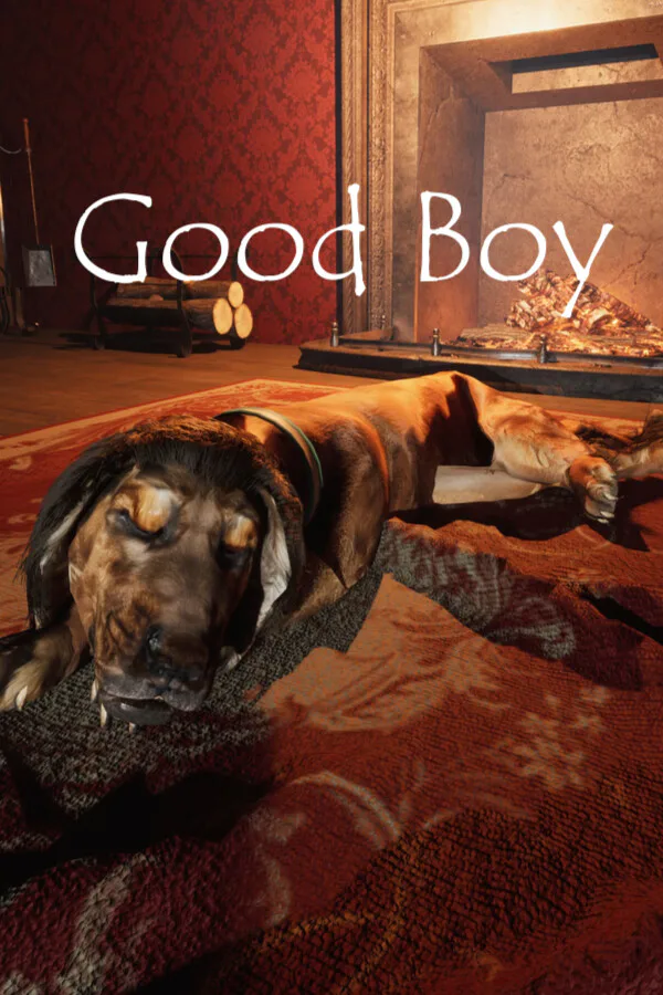 Copertina di Good Boy The Long Night